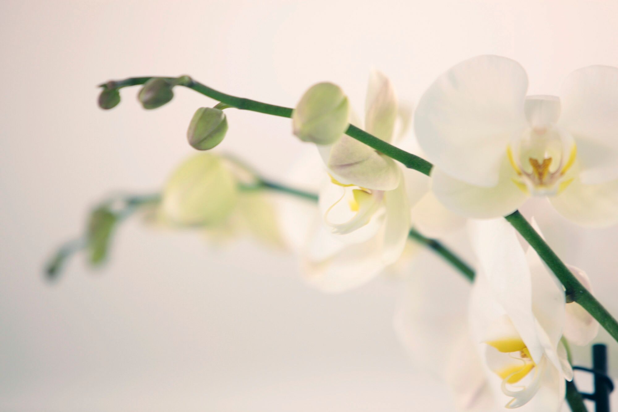 Ein Rundgang durch unsere Praxis